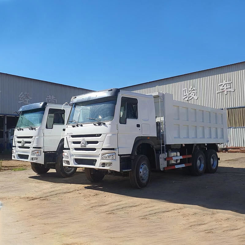 하우 6x4 30m3 40tons 12 바퀴 장거리 운송용 중량 덤프 트럭