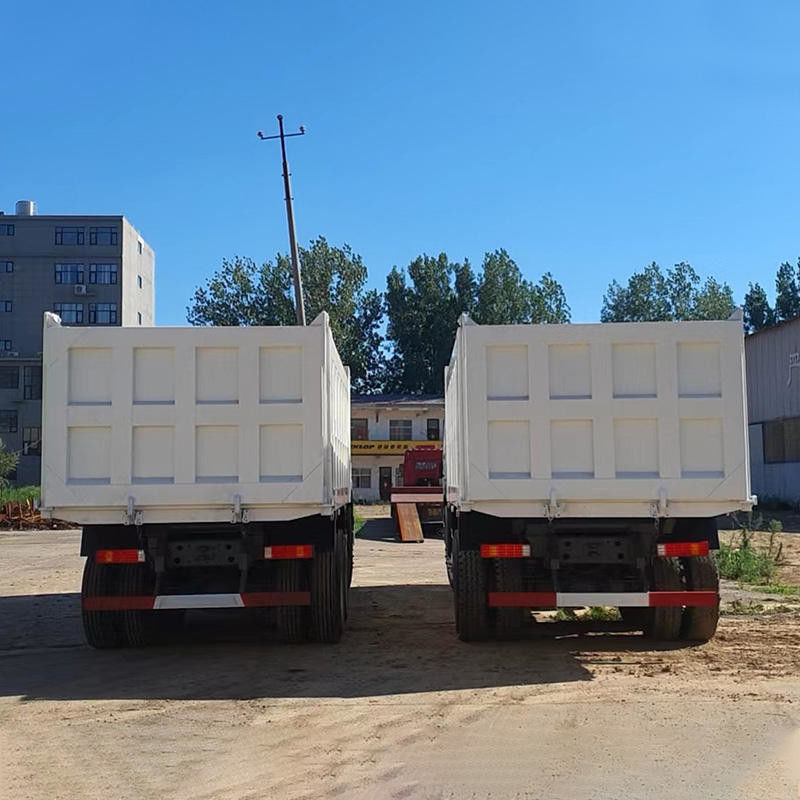 하우 6x4 30m3 40tons 12 바퀴 장거리 운송용 중량 덤프 트럭