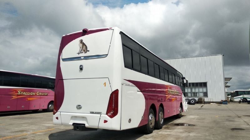 55석 LHD 드라이브 타입 도시 버스 럭셔리 코치 최고의 선택