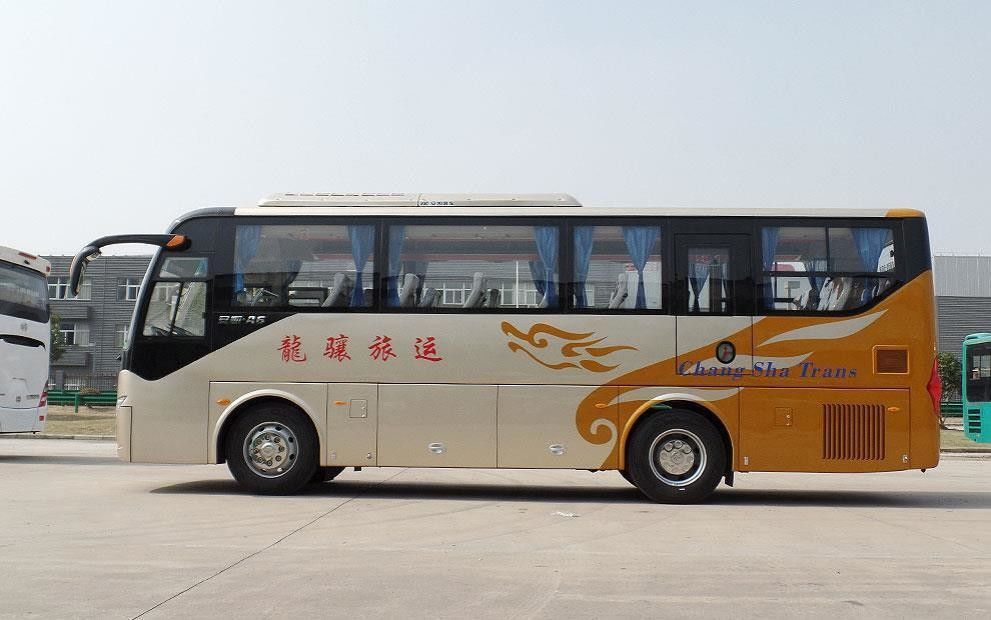 10m 좌우 운전 코치 버스 컬러 디자인과 고급 인테리어