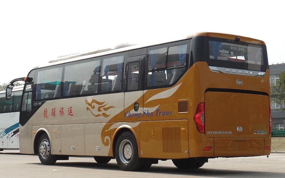 10m 좌우 운전 코치 버스 컬러 디자인과 고급 인테리어